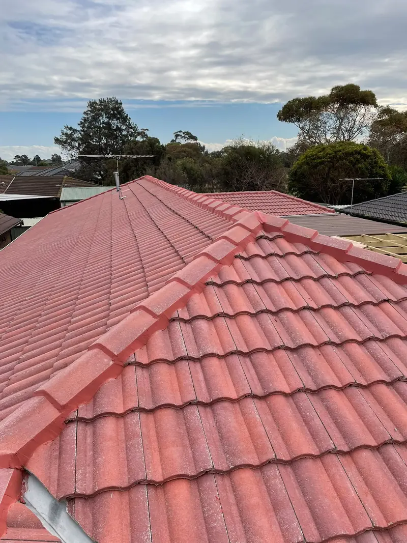 Red tile roof with ridge capping re-pointed in matching red