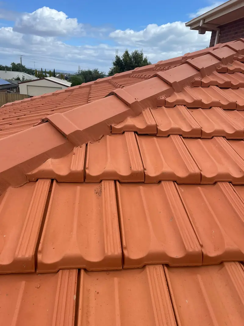 Terracotta ridge capping re-bedded and pointed in a matching colour